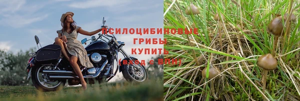 гашиш Алзамай